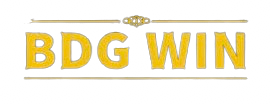 My Blog